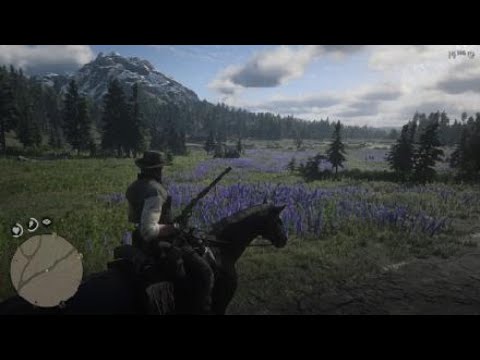 Red Dead Redemption 2 - 72 - Macierzyństwo