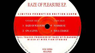Raze Of Pleasure - Summer 92 [VVR RP 001]