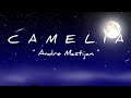 CAMELIA IRWANSYAH Lirik Video Cover By Andre Mastijan Sudahlah Jangan Menangis Lagi