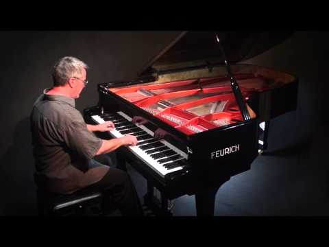 Flight of the Bumblebee (arr. Rachmaninoff) P. Barton, FEURICH piano