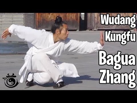 Wudang Kung Fu - Bagua Zhang 武当八卦掌