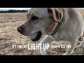 Planet Dog Strobe Ball