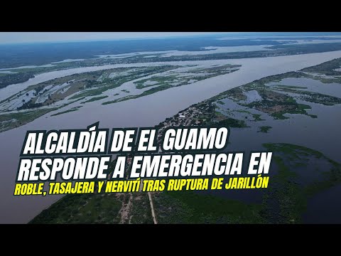 Alcaldía de El Guamo responde a emergencia en Roble, Tasajera y Nervití tras ruptura de jarillón