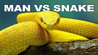 People Vs Pythons: Defending Florida's Wetlands | Python Hunters | Real Wild