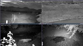 Thumbnail del capítulo