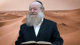 הרב יוסף בן פורת - למה כ"כ קשה לי לחזור בתשובה?! (HD1080p) - הרצאה מדהימה!