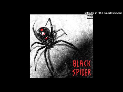 Melo Dan - Black Spider (Official Audio)