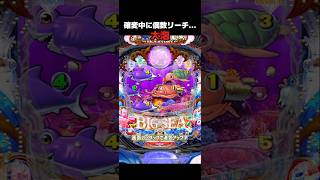 海物語シリーズ総合　儒艮 