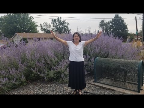 Los nrog kuv kawm nkauj ua ke os