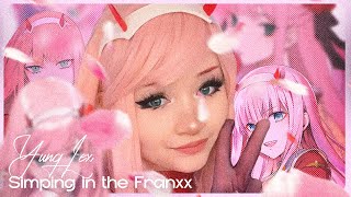 Cover art for Simping in the franxx