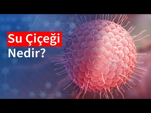 Su Çiçeği Nedir? | Medical Park