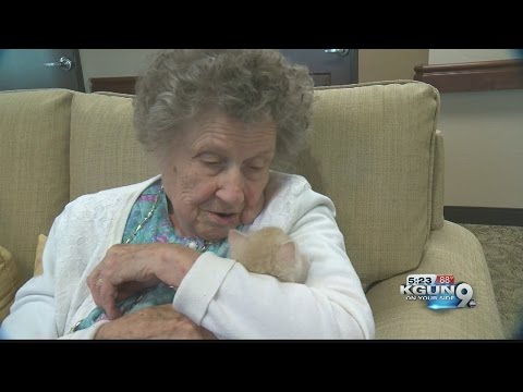 download lagu mp3 mp4 Catalina Springs Memory Care Kittens, download lagu Catalina Springs Memory Care Kittens gratis, unduh video klip Catalina Springs Memory Care Kittens