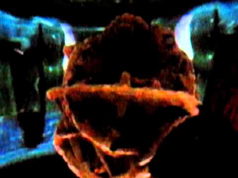 German Bakery Anjuna, Goa 2011 - part 2