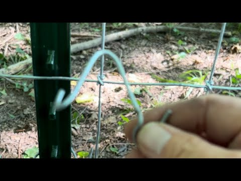 Rural King T Posts