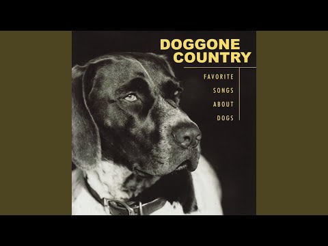 You Gotta Quit Kickin' My Dog Around