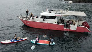 東北角船潛  西靈巖寺
