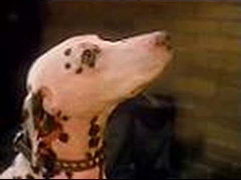 Reese's Pieces - "Wow! Some Difference!" (Commercial, 1980)