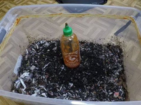 SRIRACHA Stops Worms From Escaping Compost Bin