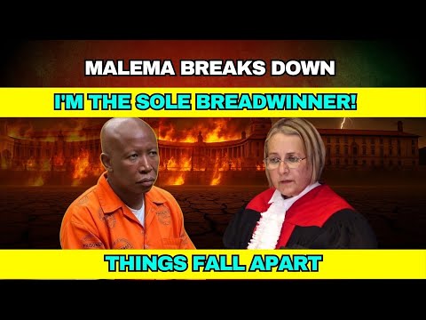 Julius Malema BREAKS DOWN in Court 'I'm the Sole Breadwinner!'