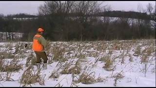 preview picture of video '2011 Pheasant Preserve Hunt'