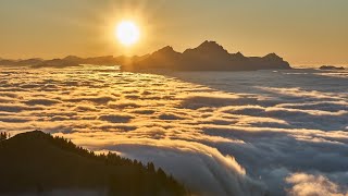 🌞 Beautiful sunrise | whatsapp status | landscapes | whatsapp status video | fog | 🌞 sun | nature