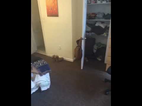 711 Walnut Street - Video 2 of 2