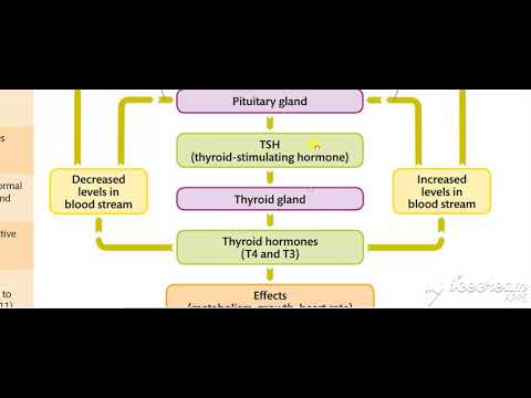 Thyroid hormone