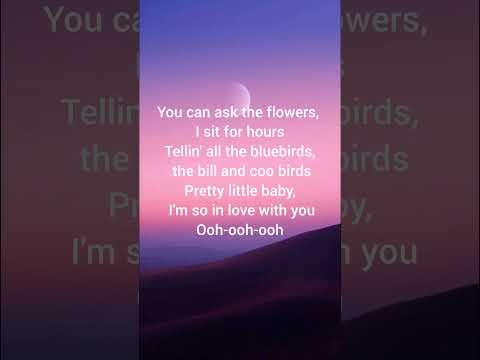 Try with your own voice 🎶 | pretty little baby #songs #shorts #trending