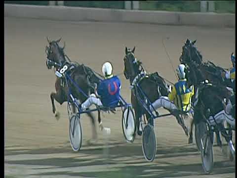 Trotto 26/08/2017 - 4ª corsa