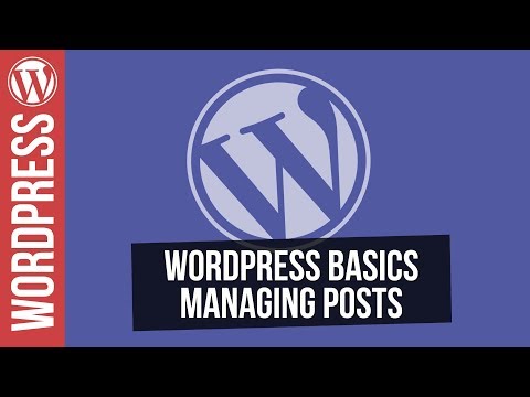 Wordpress for Beginners Working with Posts