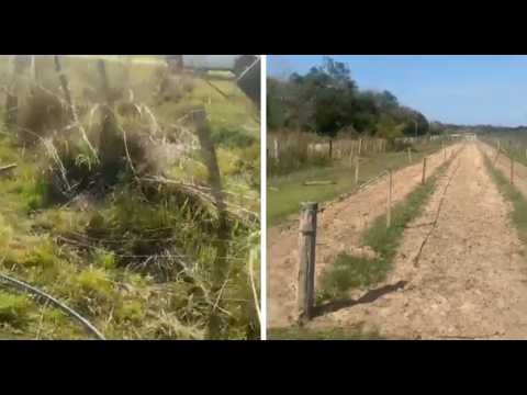 Niño de ocho años murió tras caer de un caballo en Cecilio Báez
