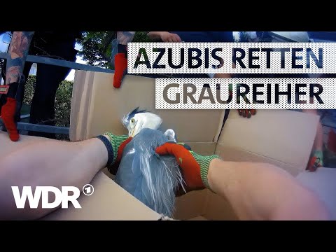 TOJ-Einsatz Tierrettung: Graureiher in Gefahr | S05/E06 | Feuer & Flamme | WDR