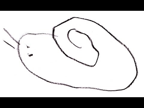 PUŽ MUŽ (vadi roge van)