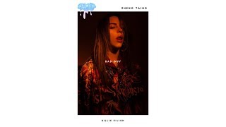 Billie Eilish - bad guy (ZhengTaing Remix)