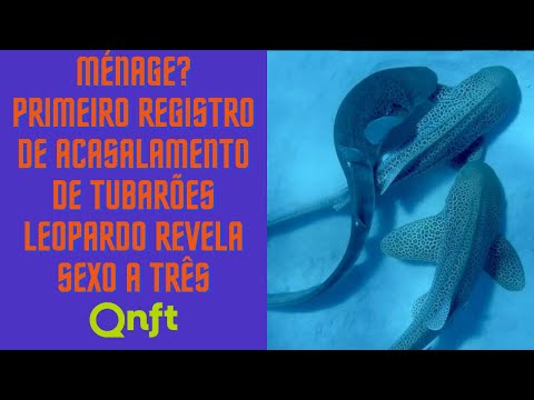 Brasileiros Que Irritam Europeus e Avanços no Futebol: Polêmicas e Curiosidades!