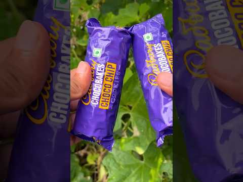 Trying Cadbury chocobakes choco chip cookies #shorts