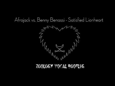 Afrojack vs. Benny Benassi - Satisfied Lionheart [Zoology Bootleg]