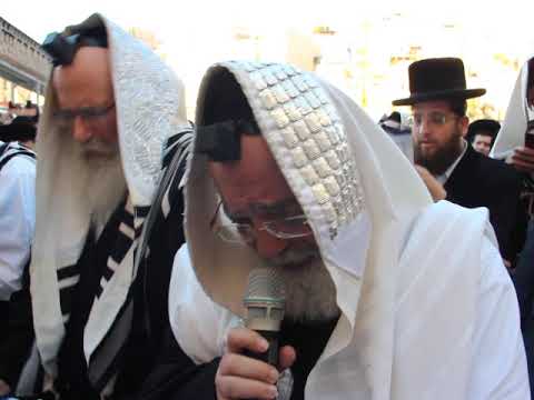 מעמד תפילה עולמי בכותל המערבי בראשות מרן ראש הישיבה זצ"ל