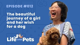Blue Buffalo Beautiful Journey Of a Girl And Her Wish For a Dog
