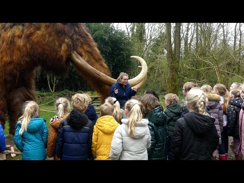 IJstijd in AquaZoo officieel geopend: "Mammoet word wakker!"