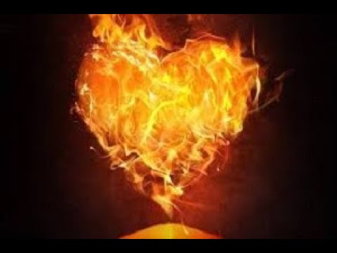 Hans Dienstknecht - Der Weg an Mein Herz 2 (Aus Liebe zu Gott)