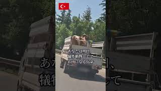 犠牲祭が始まります #トルコ #shorts #ドナドナ #海外在住 #海外生活 #イスラム