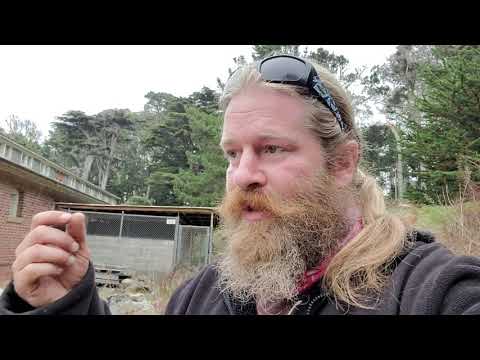 30 Min of Dog and Human Interactions.