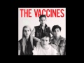The Vaccines Teenage Icon lyrics 