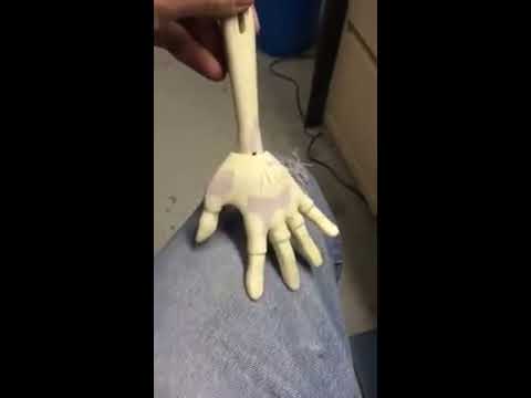 Puppet Arm | SCOTT LAND