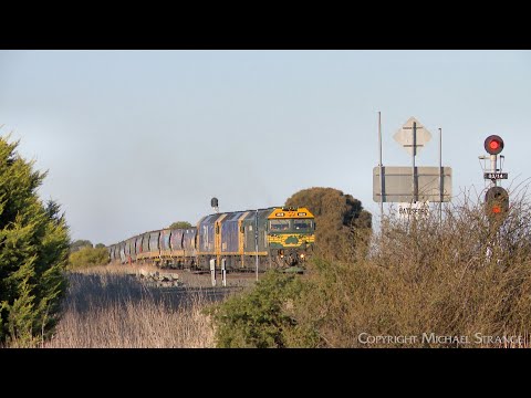 7731V Pacific National Grain Train With  G539 BL31 BL30 Arrives At Gheringhap (23/6/2024) - PoathTV