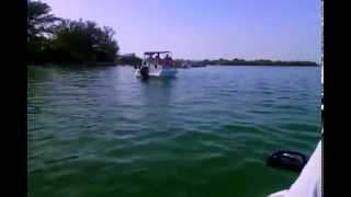 preview picture of video 'Dolphins at Coquina Beach, Bradenton Florida'