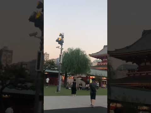 #japan #tokyo #sensojitemple #tokyotower  #fun #shorts #trending #viral #vibes #travel #travelvlog
