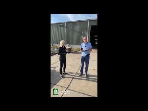 Tulip livestream 03-07-2020