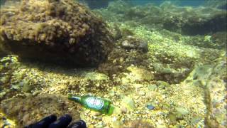 GUWAA Scuba Kings Gozo clean up of Marsalforn Bay Gozo Malta